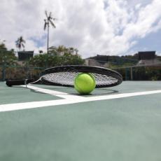 GRUZIJSKA TENISERKA UPOZORAVA: Tenis neće preživeti koronu