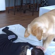 Gazdarica se samo SRUŠILA, a njen pas je odlučio da joj pomogne na URNEBESAN način! (VIDEO)
