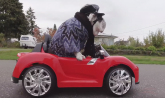 Gejb leči krizu srednjih godina vožnjom u luksuznom kabrioletu /VIDEO