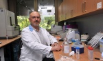Genetičar Oliver Stojković: Sad možemo da tražimo lek protiv umiranja ćelija
