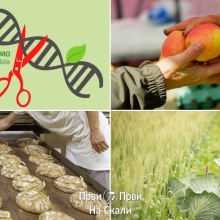 Geneticki inzenjering u poljoprivredi i namirnicama; Bio - bez GMO, je odgovor za krizu