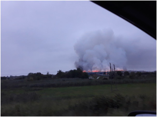 Požar na novosadskoj deponiji podmetnut?