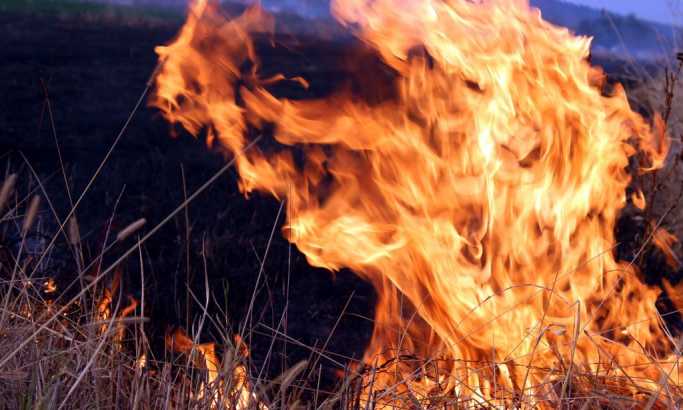 Gori rezervat Carska Bara: Požar zahvatio 800 hektara šume