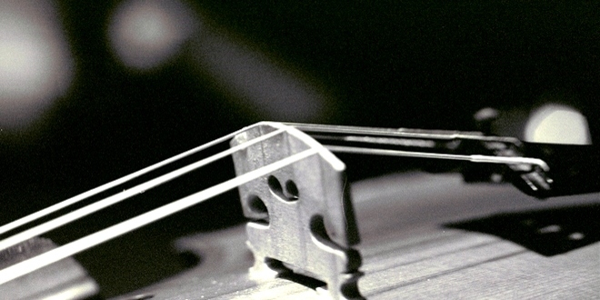 Graditelj violina iz Kovačice poznat u celom svetu