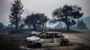 Grčka: Šumski požari za sobom ostavljaju crne šume