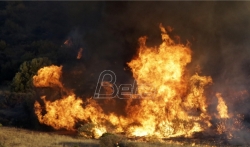 Grčki vatrogasci obuzdali požar na ostrvu Kitira