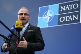 Grlić Radman: Otvoreni Balkan nema operativne mogućnosti kao Berlinski proces