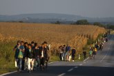 Grupa iz Hrvatske i S.Makedonije ilegalno prebacila 166 migranata