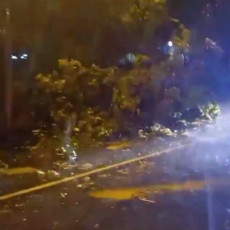 HAOS NA BANOVOM BRDU: Drvo palo nasred ulice, oluja napravila veliku štetu (VIDEO)