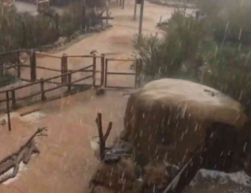 HAOS POSLE GRADA U KOLORADU: Panično bežali od leda veličine teniske lopte, stradale životinje u zoološkom vrtu (VIDEO)