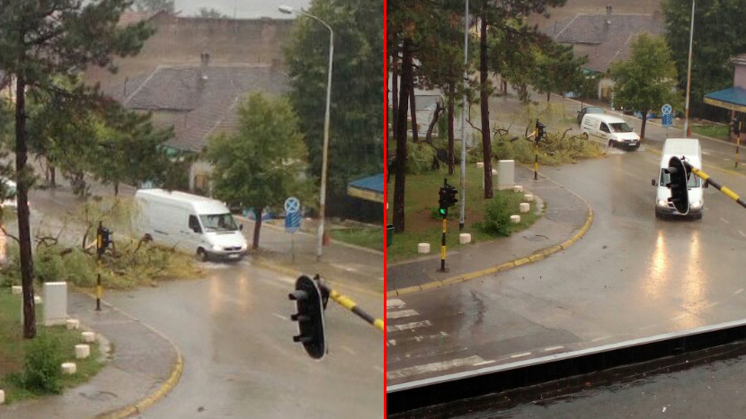 HAOS U VALJEVU: GROM oborio drvo i bacio ga na GLAVNI put, saobraćaj bio u KOLAPSU! (FOTO)
