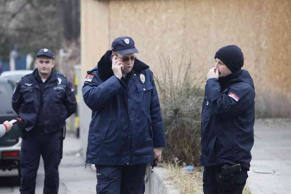 HAOS na Zlatiboru! Beograđani PRETUKLI policajca i inspektora: Izvadili pištolj, a onda je nastao HAOS
