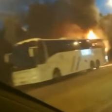 HOROR VEČE U BEOGRADU! Gori autobus, putnici PANIČNO ISKAKALI, vatra gutala SVE REDOM! (VIDEO)