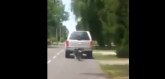 HR: Vezao psa za automobil i vukao ga po putu VIDEO