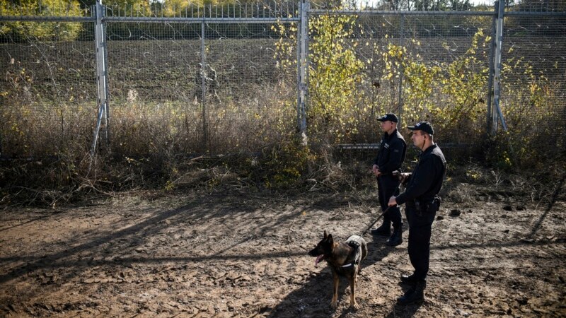 HRW navodi da Bugarska pušta policijske pse na izbjeglice s Bliskog istoka
