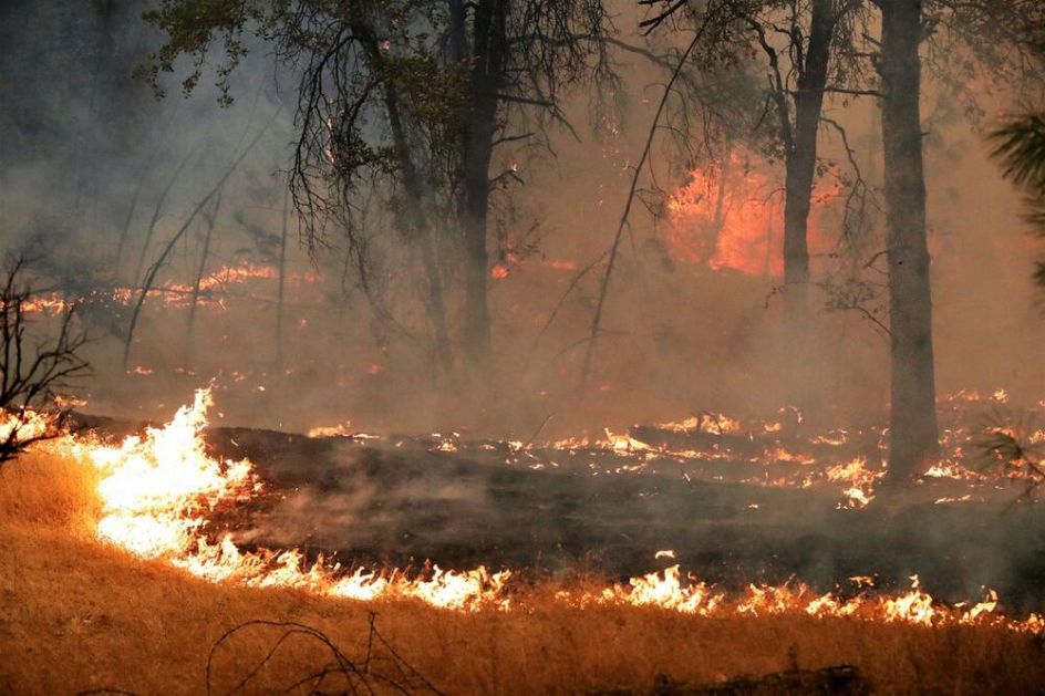 HTELA DA PROKUVA VODU, IZAZVALA POŽAR: Planinarka optužena da je izazvala razorni Fon požar u Kaliforniji