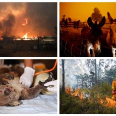 HUMANOST I SOLIDARNOST: Novak Đoković se pridružio svetskim zvezdama u inicijativi za pomoć Australiji nakon požara 