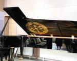 Hamer piano festival  u Svetosavskom domu
