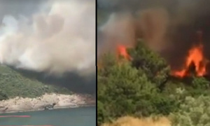 Haos na crnogorskom primorju! Požar ogromnih razmera kod Tivta u blizini poznate plaže! (FOTO, VIDEO)