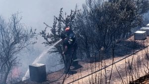 Hiljadu vatrogasaca protiv 50 šumskih požara u Grčkoj, najveći na ostrvu Eviji