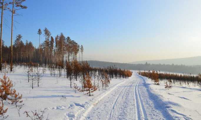 Hoće li Evropa ići u Sibir po drva?