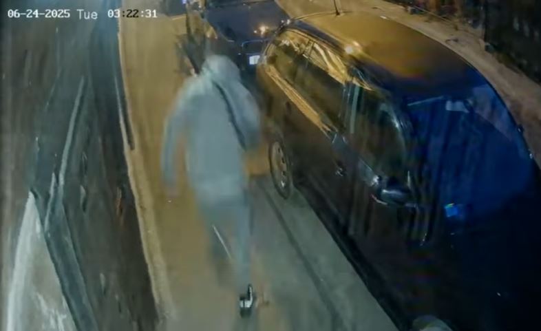Hoće li neko reagovati prije tragedije? Novi napadi pasa, građani bježe na krovove automobila (VIDEO)