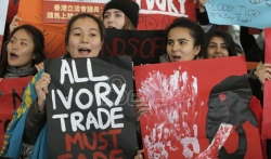 Hongkong zabranio trgovinu slonovačom do 2021. (VIDEO)