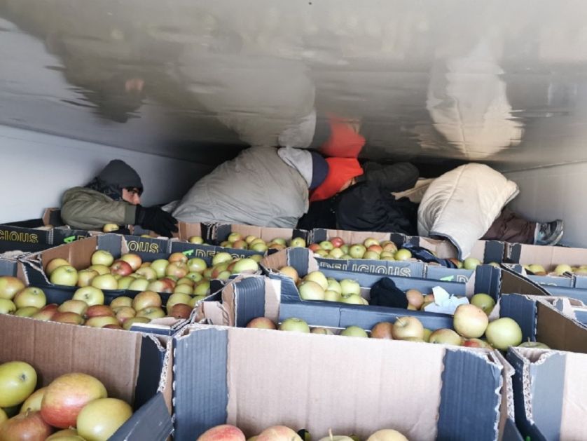 Horgoš: Migranti u hladnjači punoj jabuka