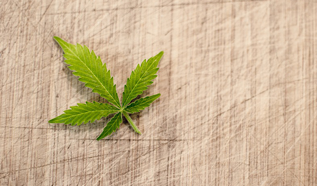 Hrvatska će proizvoditi i izvoziti marihuanu
