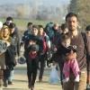 Humanitarna migracija u padu, migracija zbog spajanja porodice raste