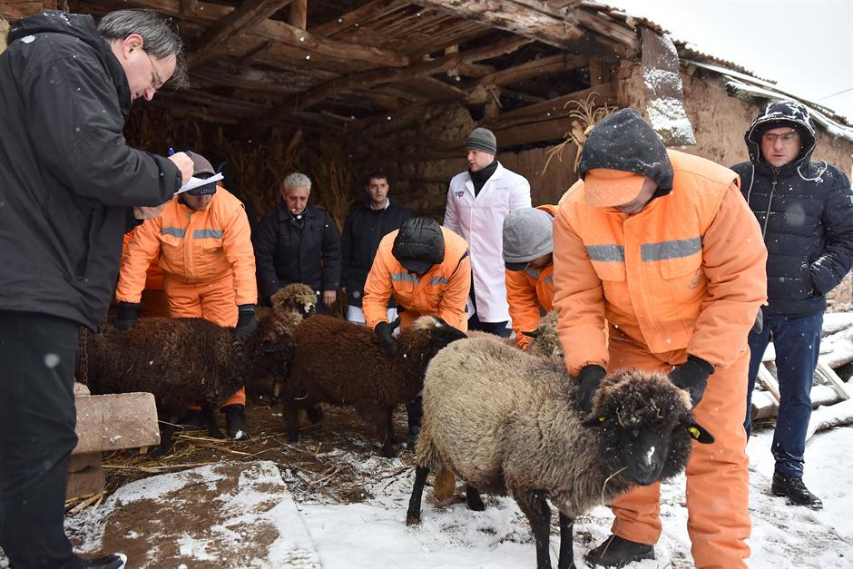 Problemi s cisternom: Meštani Jasenovika ne mogu kućama