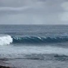 IMA LI LEPŠEG PRIZORA? Pogledajte kako delfini SURFUJU na talasima! (VIDEO)