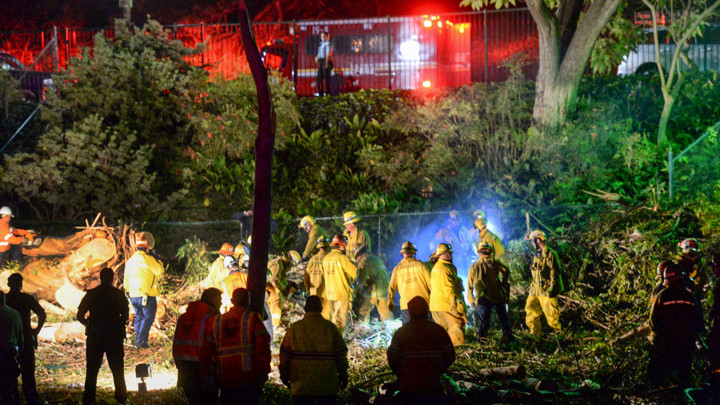 INCIDENT U NJUJORKU: Palo ogromno drvo u Central parku, povređena žžena i troje dece