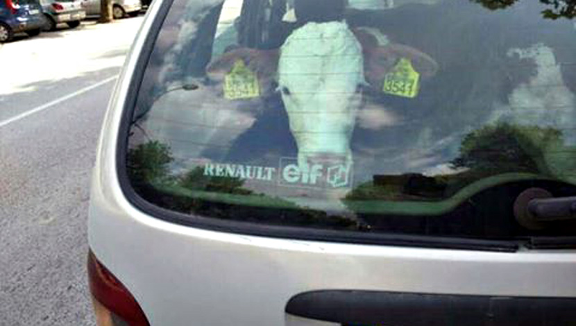 INCREDIBLE PHOTO IN THE MIDDLE OF THE STREET IN SERBIA: How did the driver pack THIS on his back seat?! (PHOTO)