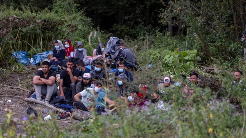 IOM i UNHCR zahtijevaju pristup tražiocima azila na granici EU i Bjelorusije