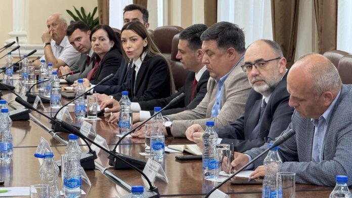 Iako su mnoge Nišlije ostale bez posla, ministarka privrede govori o ekonomskom procvatu Niša