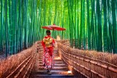 Ikigai  japanska drevna tajna za dug i srećan život bez stresa