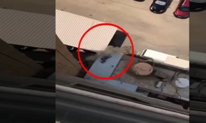 Ima li većeg zla od ove žene: Snimala je kako pada s terase i nije joj palo na pamet da joj pomogne (VIDEO)