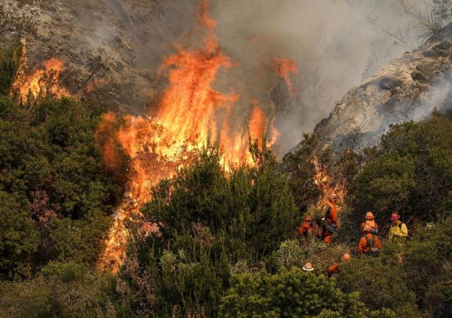 Veliki požar buknuo u Omišu, pomogla kiša, stigla i vojska