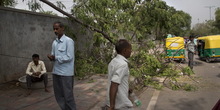 Indija: Oluja čupala drveće, rušila kuće, 10 mrtvih