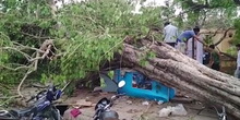 Indija: U peščanim olujama 125 mrtvih, nove tek stižu