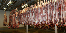Industrija mesa Srem dobija novog vlasnika