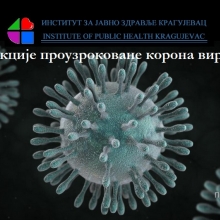 Infekcije prouzrokovane korona virusima