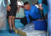 Irma zapretila i delfinima: Evakuisano šest divnih životinja