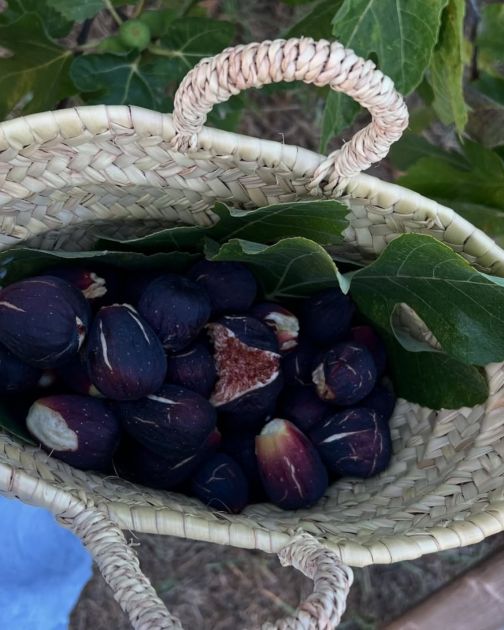 Ishrana kod dijabetesa: Koje voće bi trebalo izbegavati?
