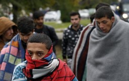 
					Ivanišević: Pristiže sve manje migranata, svi će biti zbrinuti 
					
									