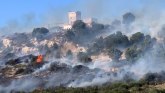 Iza razornih šumskih požara u Italiji stoje piromani?