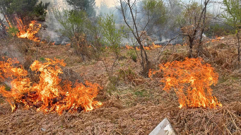 Izgorela još jedna kuća na području Bosilegrada: Meštani uvereni da godinama unazada priromani namerno pale u ovoj opštini
