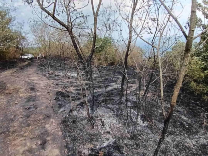 Izgoreli kuća i šljivik