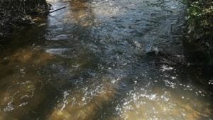 Izlio se mazut u reku Moravicu, vanredna situacija u opštini Ivanjica